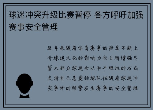 球迷冲突升级比赛暂停 各方呼吁加强赛事安全管理 球迷冲突升级比赛暂停 各方呼吁加强赛事安全管理