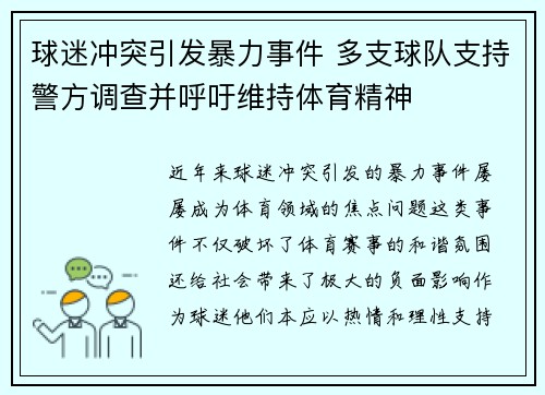 球迷冲突引发暴力事件 多支球队支持警方调查并呼吁维持体育精神